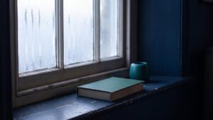 A teal hardback book and a small cup on a windowsill in low evening light
