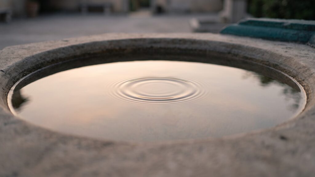 Still water in a shallow round stone basin